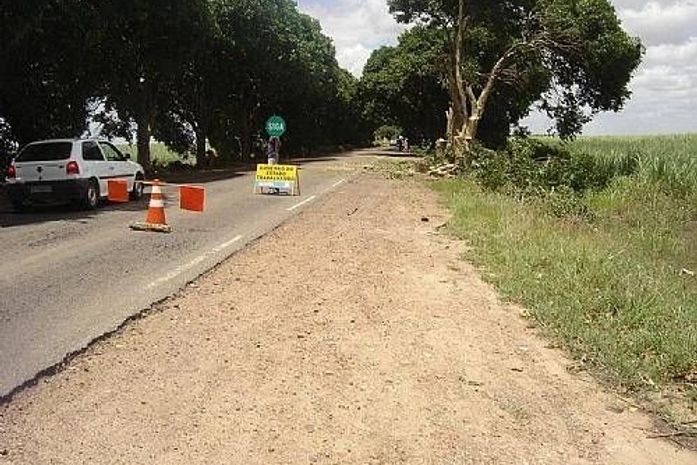 Derrubada de árvores gera polêmica entre políticos e defensores do meio ambiente