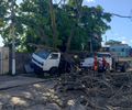 Queda de árvore atinge dois veículos, na Jatiúca, e bombeiros são acionados