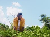 Programa Garantia-Safra libera pagamento para mais de 22 mil agricultores alagoanos