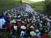 Trabalhadores irão  defender a natureza