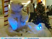 Natal antecipado tem até 'urso polar' em Maceió