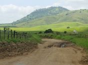 Legenda:

Estrada de barro e em péssimas condições dificulta acesso ao Parque Nacional Zumbi dos Palmares

