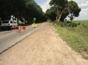 Retirada de árvores da AL 220 será debatida em sessão pública da Câmara de Arapiraca
