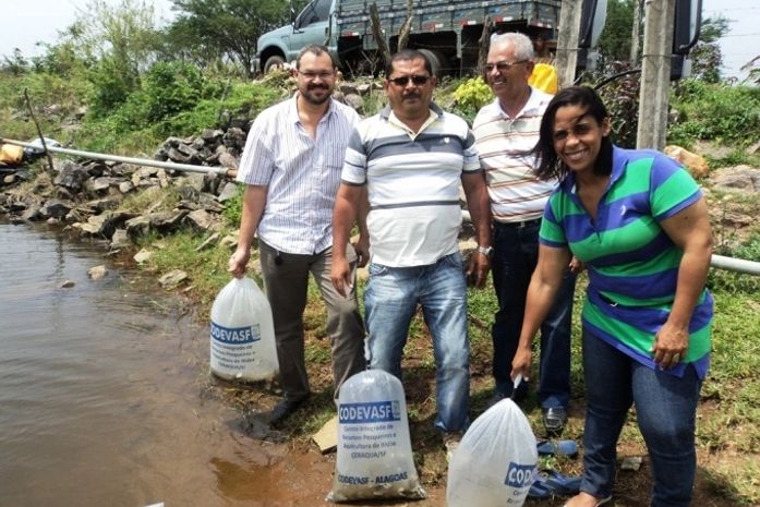 Secretaria de Agricultura de Feira Grande distribui 30 mil alevinos em barragens