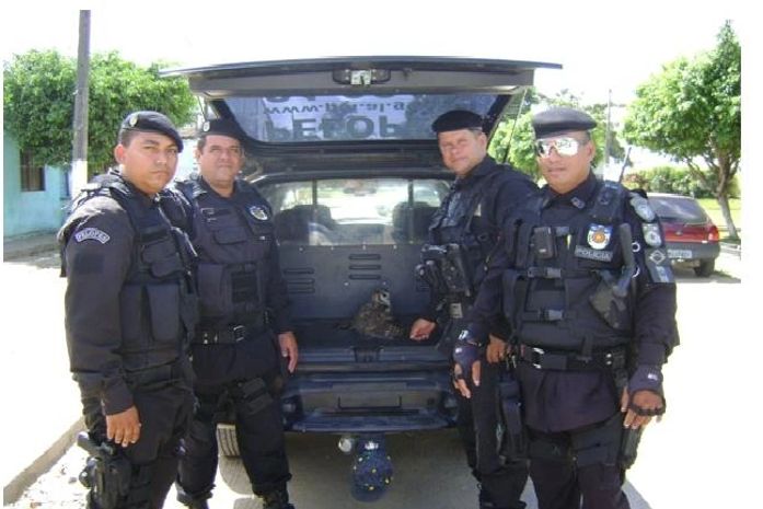 MIlitares socorreram coruja