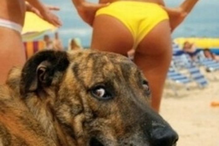 Desabafo de um leitor