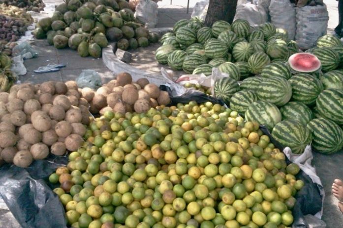 produtos comercializados