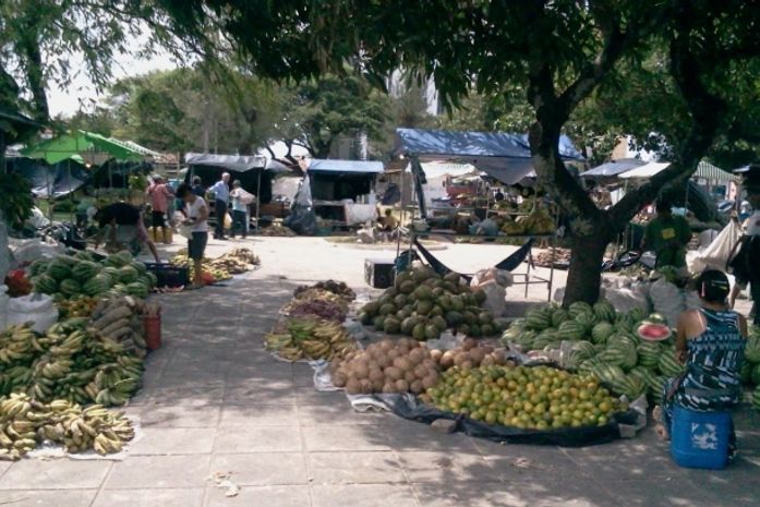 Os maceioenses encontram produtos livres de agrotóxicos