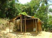 IMA intima moradores de construções irregulares em Reserva Ecológica