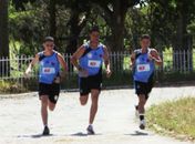 Arbitragem alagoana.