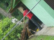 Imagem da polícia mostra cadela acuada durante agressão em Santa Catarina (