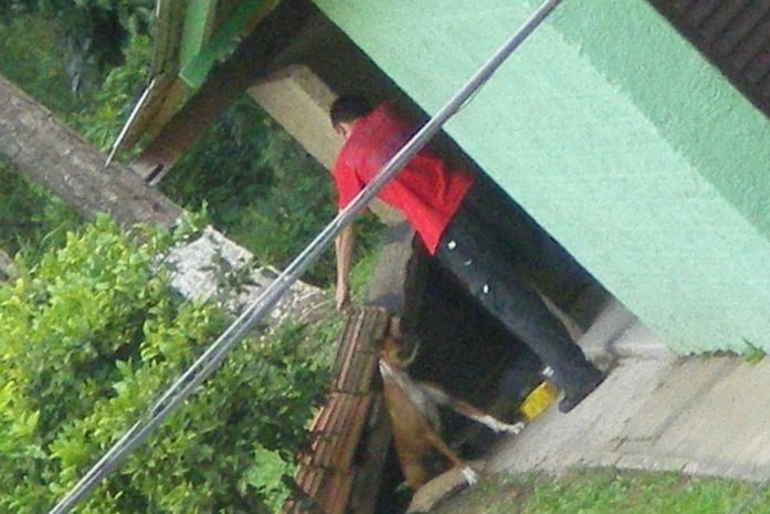 Imagem da polícia mostra cadela acuada durante agressão em Santa Catarina (
