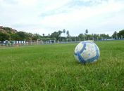 Novo gramado do CSA.