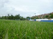 Novo gramado do CSA.