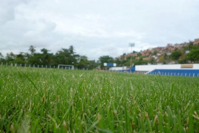 Novo gramado do CSA.