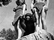 Johnny Weissmuller, à direita, como Tarzan;
Maureen O'Sullivan, como Jane, e Cheetah, em
cena de 1932. 