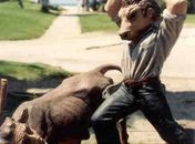 Somos ou Não Somos Cruéis?