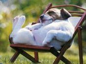 É melhor descansar para estudar ou o contrário?