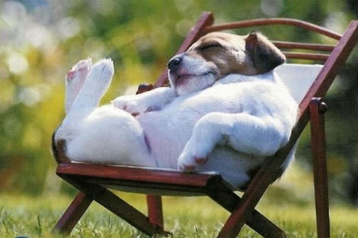 É melhor descansar para estudar ou o contrário?