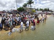 Espécies nativas são inseridas no rio São Francisco em Penedo