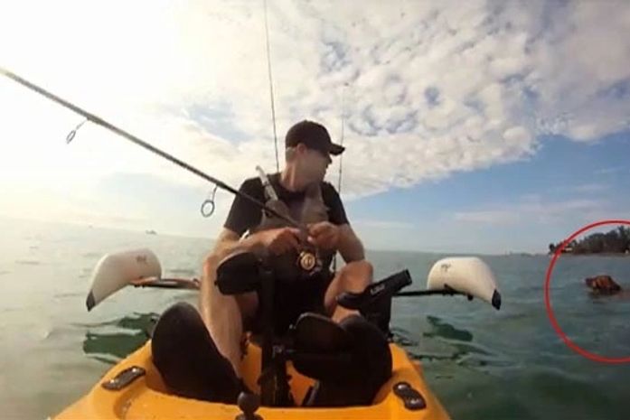 Homem encontrou cão dentro do mar enquanto pescava na Flórida.
