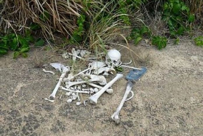 Ossada foi encontrada por turistas na região do Gunga