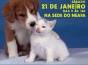 Neafa irá promover encontro para adoção de Cães e Gatos no Farol