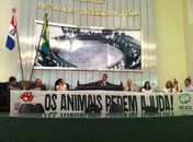Representantes cobram leis mais severas contra maus-tratos contra animais
