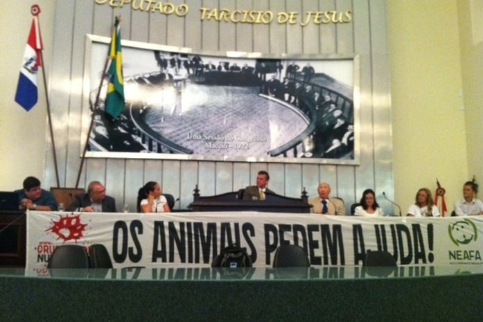Representantes cobram leis mais severas contra maus-tratos contra animais
