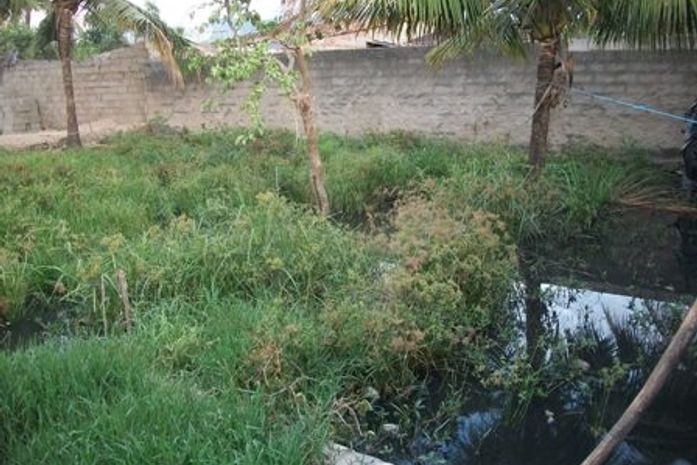 Esgoto entupido há dois meses gera transtornos aos moradores de União dos Palmares