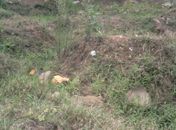 Josué foi encontrado morto em terreno baldio no Tabuleiro