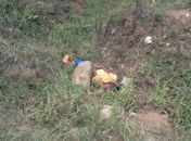 Josué foi encontrado morto em terreno baldio no Tabuleiro