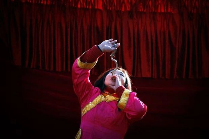Chinesa engole uma cobra viva durante uma apresentação.