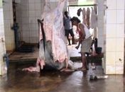 “Não tinha dignidade humana”, diz auditor do MPT sobre matadouros