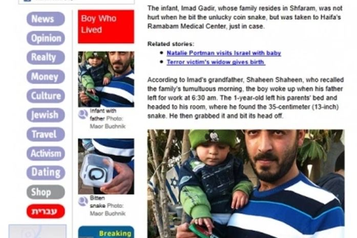 Bebê de 1 ano mata cobra após arrancar com mordida cabeça do réptil