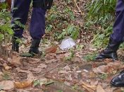 Populares encontram corpo de jovem crivado de balas em mata