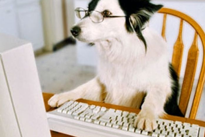 Inteligência Limitada e sua Relação com a Pobreza é Confirmada