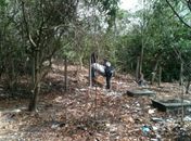 Corpo em estado de decomposição é encontrado em 'lixão'