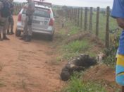 Corpo de homem não identificado é encontrado carbonizado