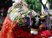 Festival de Bumba Meu Boi será atração na Multieventos