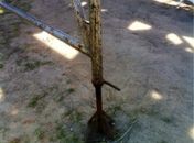 Arquibancadas irregulares