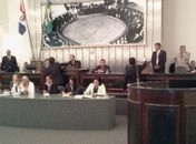 Votação dos parlamentares 