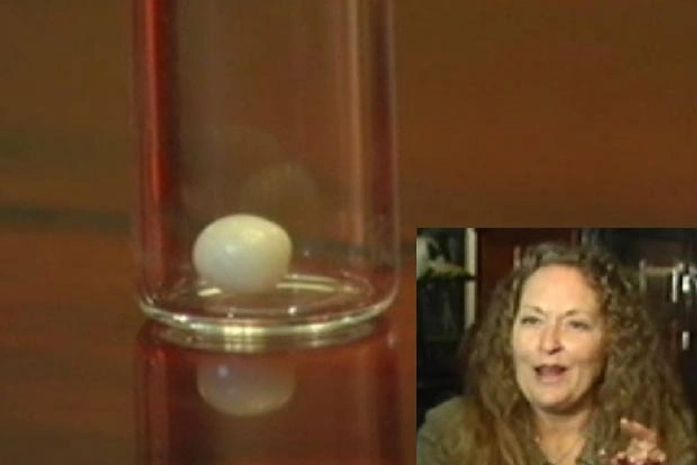 Americana acha pérola ao comer pizza de ostras em restaurante