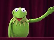 Sequência de 'Os Muppets' já está em pré-produção