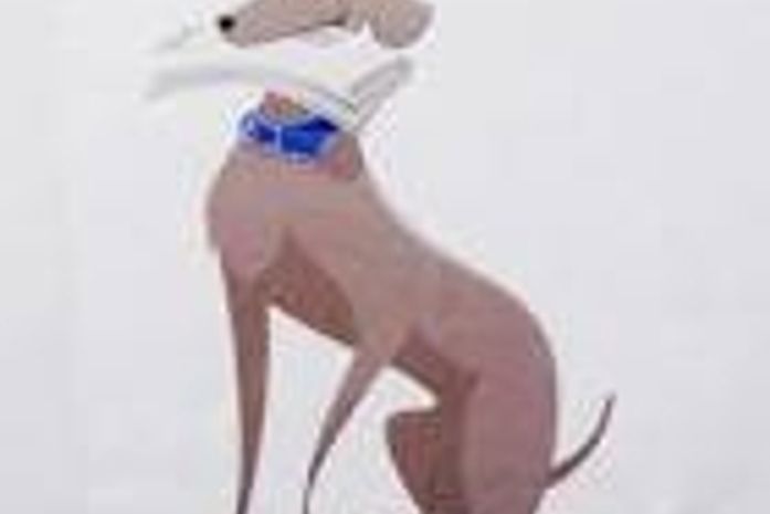 Curadoria: As notícias que importam para você.