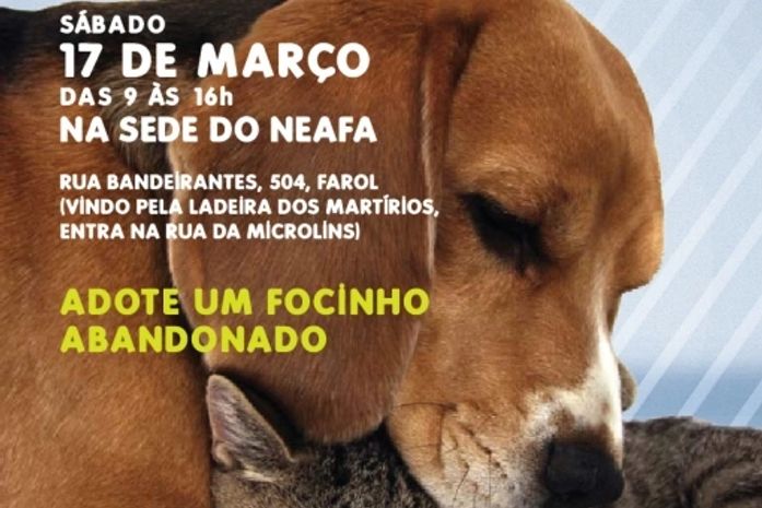 Encontro para Adoção de Cães e Gatos será promovido pelo NEAFA neste sábado