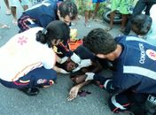 Vítima foi socorrida por equipe do Samu 