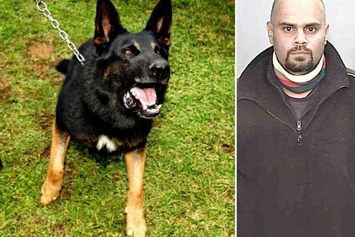 Cão ajuda na prisão do criminoso mais procurado da Austrália