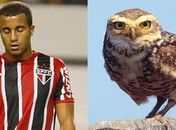 Chamado de coruja, Lucas conta apelido de são-paulinos na TV
