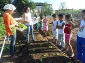 Alunos colhem alimentos e pegam peixes em projeto
